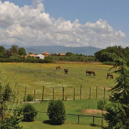 Ferienhaus Holiday Castiglion Del Lago 30